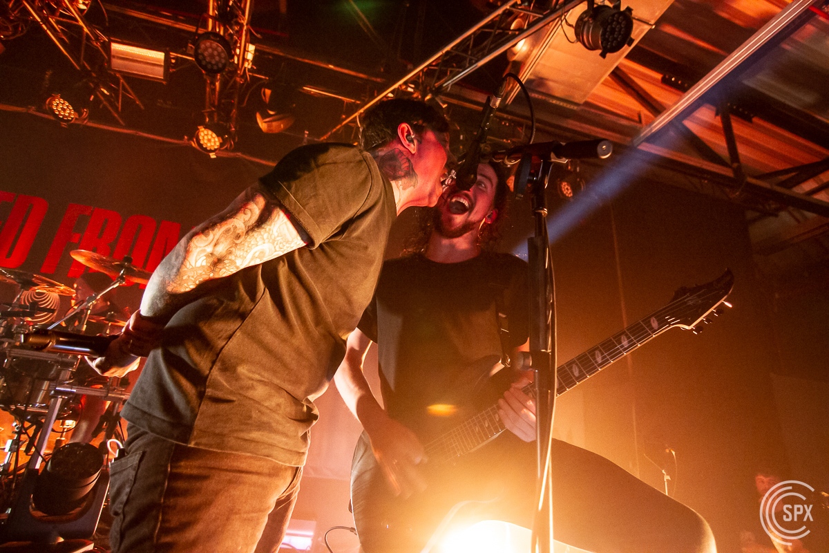Bleed From Within,  Markus Hillgrtner