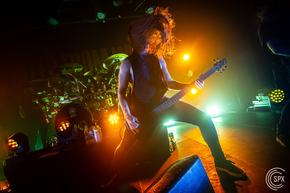 Bleed From Within,  Markus Hillgrtner