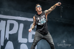 240622_SIMPLE-PLAN_Samstag_Hurricane-2024_Cynthia_Theisinger_sharpshooter-pics_17
