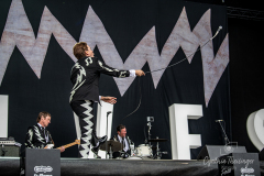 240622_THE-HIVES_Samstag_Hurricane-2024_Cynthia_Theisinger_sharpshooter-pics_17