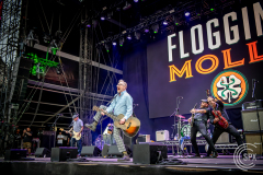 240814_Flogging-Molly_Summer-Breeze-2024_Patrick-Burkhardt_sharphooter-pics.de_14